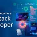 Best Full Stack Developer India