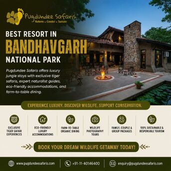 Gurgaon, Travel, Best Resort In Bandhavgarh National Park &ndash; Pugdundee Safaris
