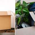 Buy Essential Packing Accessories Online For Safe & Easy Moving