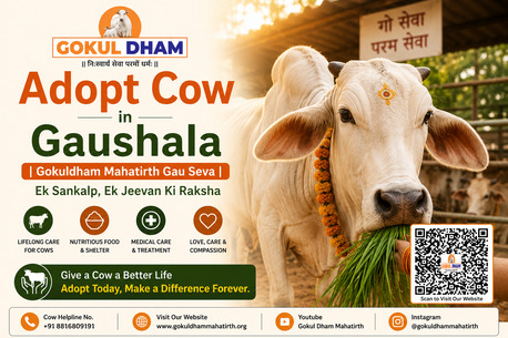 Haryana, Pet Sitting, Looking For A Cow Shelter Near Me To Support Gau Seva?