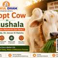 Looking For A Cow Shelter Near Me To Support Gau Seva?