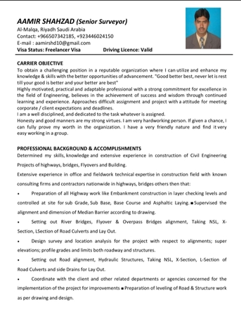 Riyadh, Job Seekers, Senior Surveyoy&surveyor