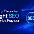 Professional SEO Services To Boost Rankings & Traffic