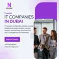 Professional IT Companies In Dubai For Modern IT Infrastructure