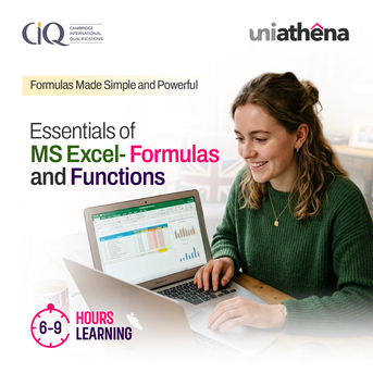 Goa, Lessons Offered, Excel Functions And Formulas For Career Growth | UniAthena