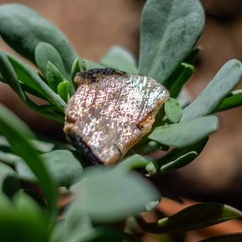 New York, Jewelry, USD 888,  Lattice Sunstone &ndash; Rare & Beautiful Natural Crystal Specimens