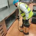 Professional Pest Control Services &ndash; Fast & Reliable