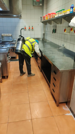 Riyadh, Pest Control, Professional Pest Control Services &ndash; Fast & Reliable