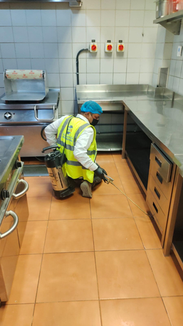 Riyadh, Pest Control, Professional Pest Control Services &ndash; Fast & Reliable