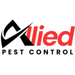 Dubai, Pest Control, Pest Control In Dubai | Reliable & Fast Services