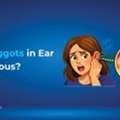 INR 30,  Maggots In Ear: Causes, Symptoms & Treatment | Hearzap