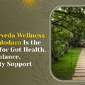 Wellness Therapy Centre In Vadodara | Ayus-clairveda