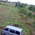 Required Experienced Horticulturist To Develop A Plant Nursery
