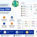 Manage All Your WhatsApp Chats From One Smart Dashboard