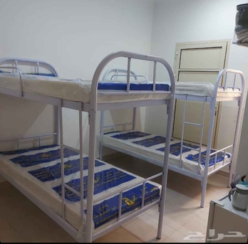 Riyadh, Household Items, SAR 11,  🇬🇧 ENGLISH  STEEL SINGLE BED & STEEL DOUBLE BED  Single Steel Bed &ndash; Strong, Durable & Co