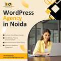WordPress Website Design Service In Noida