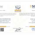 Chemical Engineer & Lab Analyst | SCE Registered | +8 Years Exp