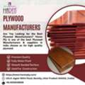 Best Plywood Manufacturers