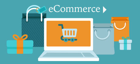 Indore, Software Development, Powerful Ecommerce Software In India Designed For Businesses Looking To Scale Their Online