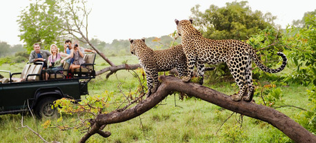 Dar es Salaam, Travel, Serengeti Tanzania Safari Tours