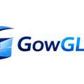 Gowglas Com: Everything You Need To Know About This Emerging Online Platform
