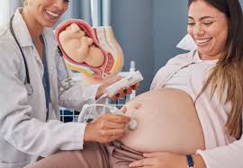 Mumbai, Health, Complete Guide To Choosing The Right Maternity Hospital For A Safe Pregnancy Journey