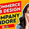 Website Design Indore - WDI