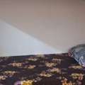 SAR 600/month,  Bedspace Available