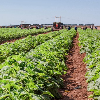 Berlin, Business Partners, Get Agriculture Funds