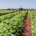Get Agriculture Funds