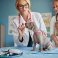 Puppy Wellness Exam | Green Pines Animal Hospital