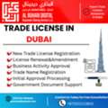 Start Your Business Legally With Expert Trade License Assistance In Dubai