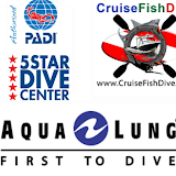 New York, Business, Florida Scuba Diving & PADI Certifications | Fort Myers & Naples