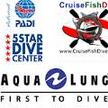 Florida Scuba Diving & PADI Certifications | Fort Myers & Naples