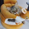 Lovely Cats