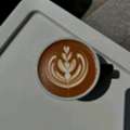 Barista