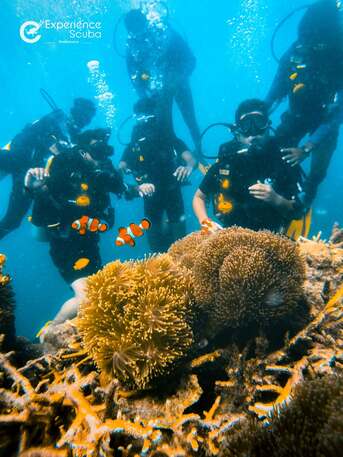 Ahmedabad, Travel, Andaman Packages From Gujarat &ndash; Affordable Gujarat To Andaman Packages For Family, Couples