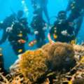 Andaman Packages From Gujarat &ndash; Affordable Gujarat To Andaman Packages For Family, Couples