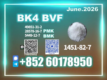 The Hague, Materials, Usd 280,  New PM.K 28578-16-7 B.MK Sample Supported
