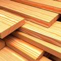 Pine Wood Suppliers