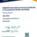 NEBOSH Certified HSE Officer / Safety Officer Available In Saudi Arabia