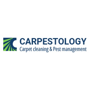 Brisbane, Cleaning, Carpestology