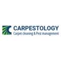 Carpestology