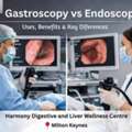 Gastroscopy Vs Endoscopy Explained By Harmony