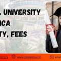 DY PATIL UNIVERSITY ONLINE MCA Eligibility & Fees