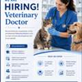 VETERINARY DOCTOR