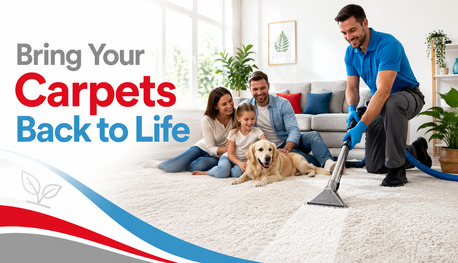 Sydney, Cleaning, Quality Professional Carpet Cleaning For Bulimba Properties