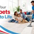 Quality Professional Carpet Cleaning For Bulimba Properties