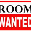 SAR 1000/month,  1 BR,  URGENT :: 1 ROOM With Attached Bathroom Needed