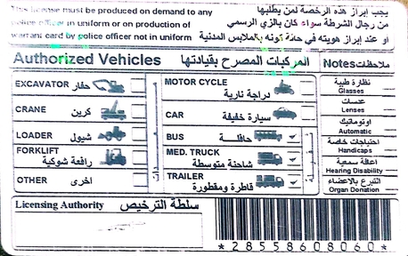 Riyadh, Job Seekers, Experienced Heavy + Light Driver - 11 Years Saudi License